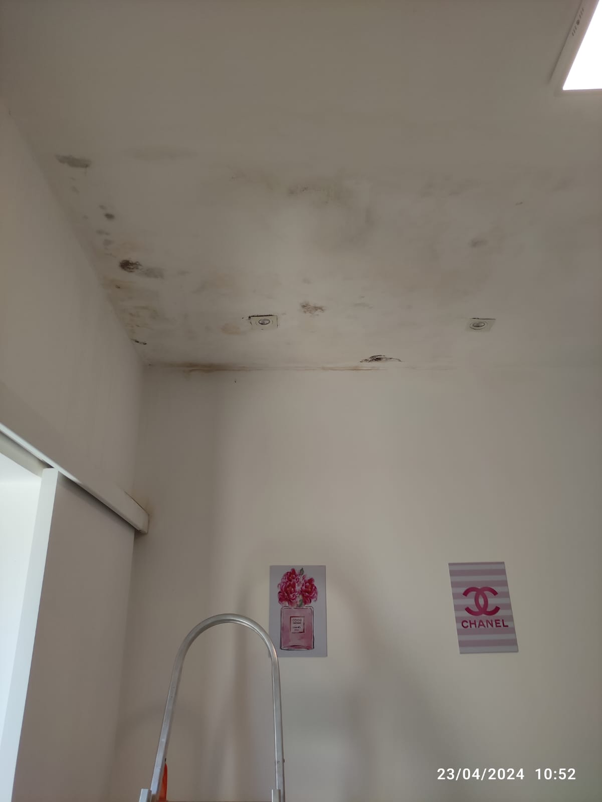 WhatsApp Image 2024-05-27 at 21.59.10 (1)